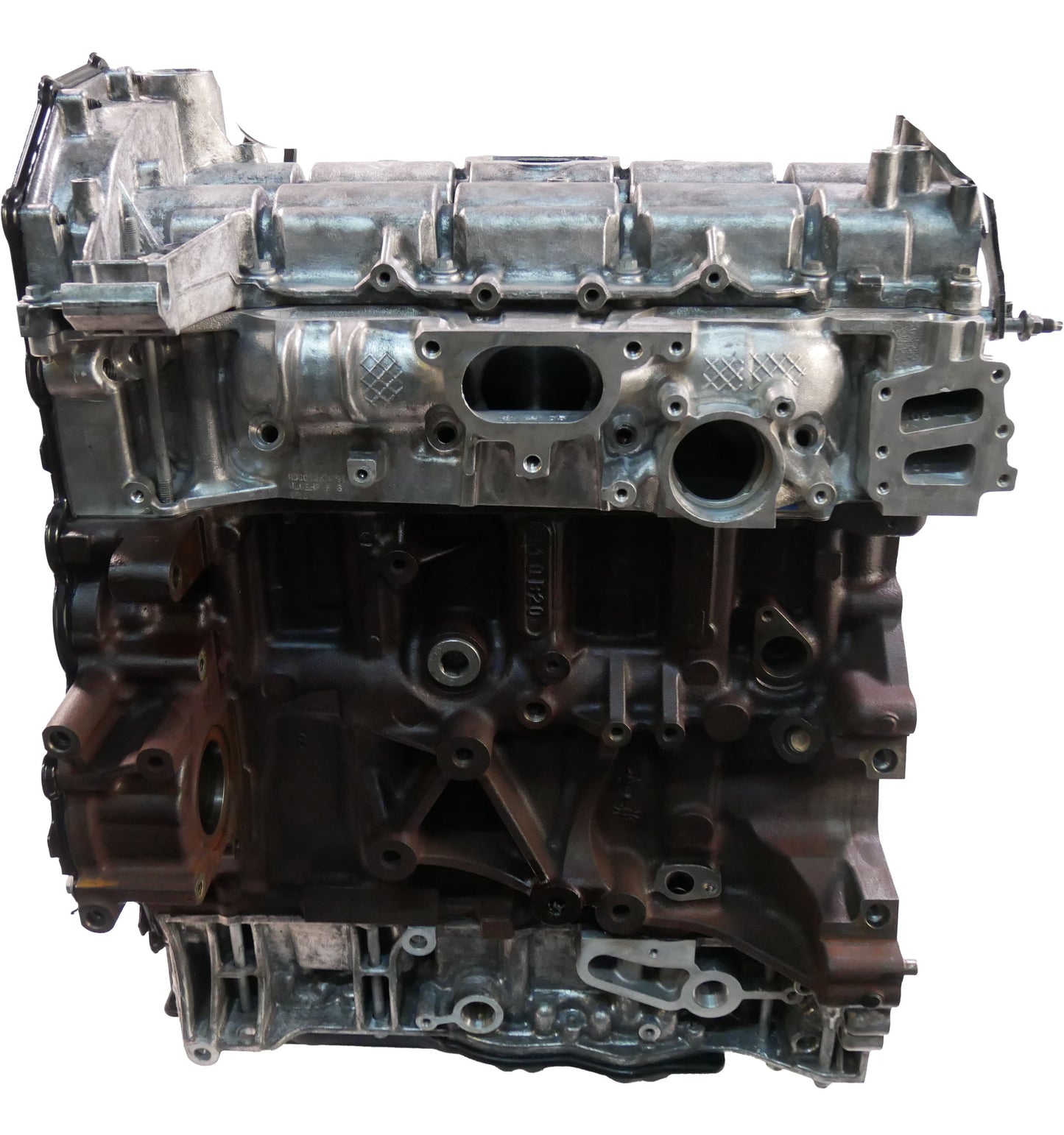 Moteur Ford Transit V362 V363 2018 V362 EcoBlue BLFB Courroie dentée Palier NEUF | ExpressParts