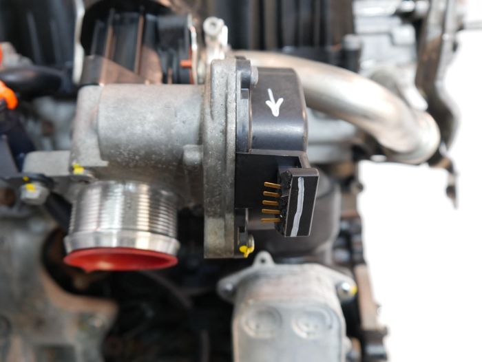 Vue moteur CAYD-CAYC-CAY VW 1.6L – pièce occasion