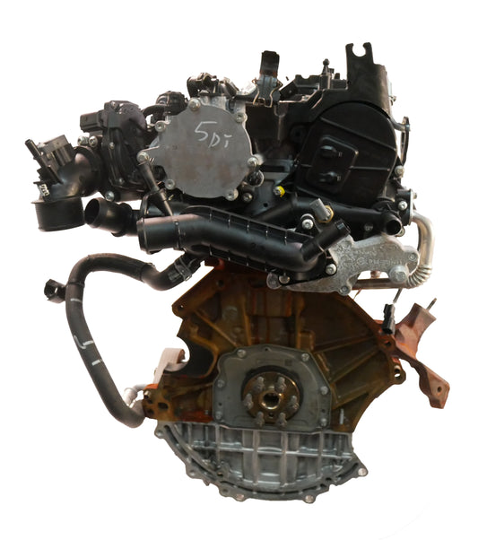 Moteur für Ford 2022 EcoBoost mHEV M0DC C10FD0X NX6G-6006-KA | ExpressParts