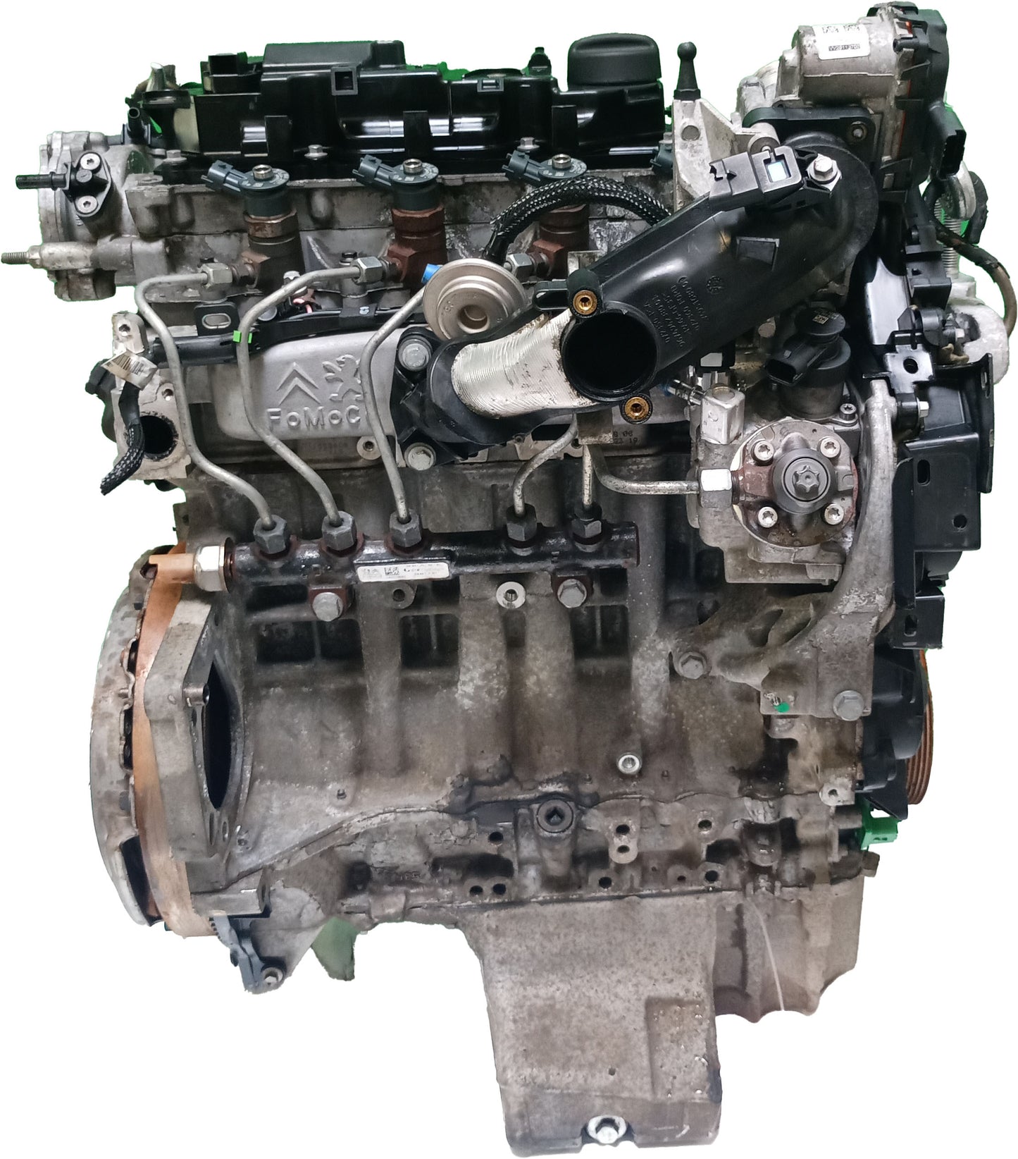 Moteur Ford Tourneo Transit B460 2020 B460 EcoBlue XXCC C15DSOX GM5Q-6006-DA | ExpressParts