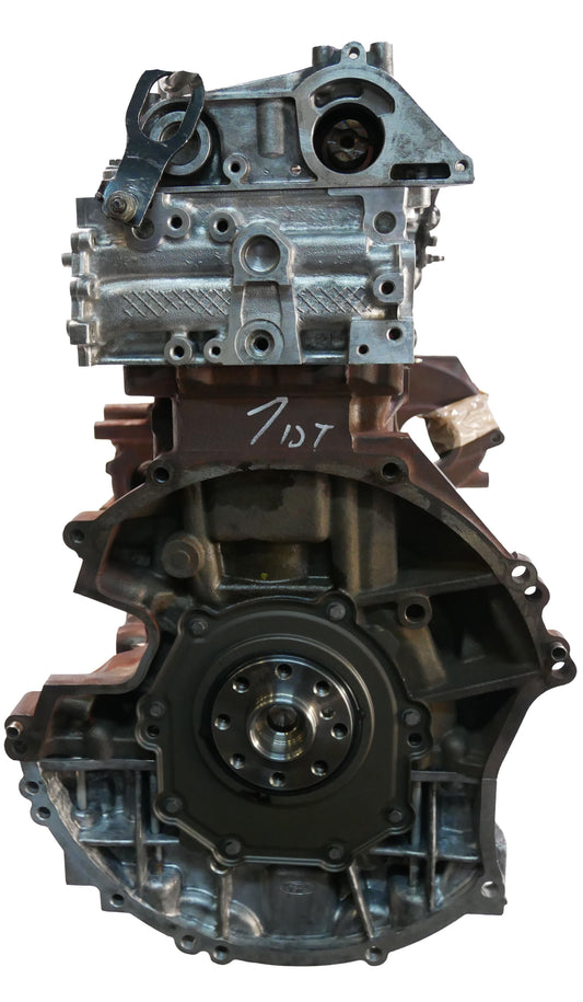 Moteur Ford Tourneo Transit 2019 EcoBlue D BKFB Courroie dentée Joints NEUF | ExpressParts