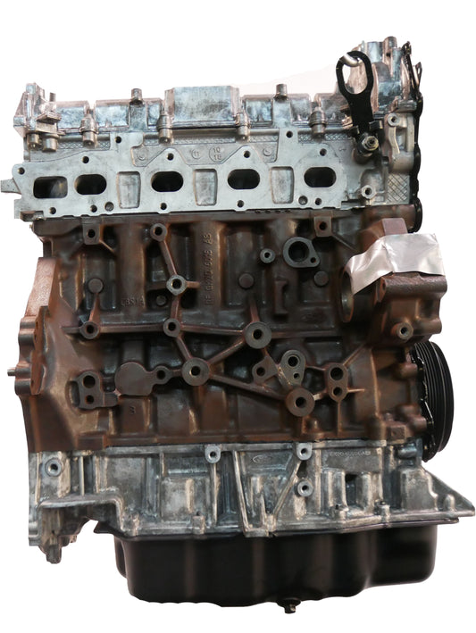 Moteur Révisé Ford Tourneo Transit 2020 EcoBlue YMF6 Piston Courroie de distribution NOUVELLE | ExpressParts