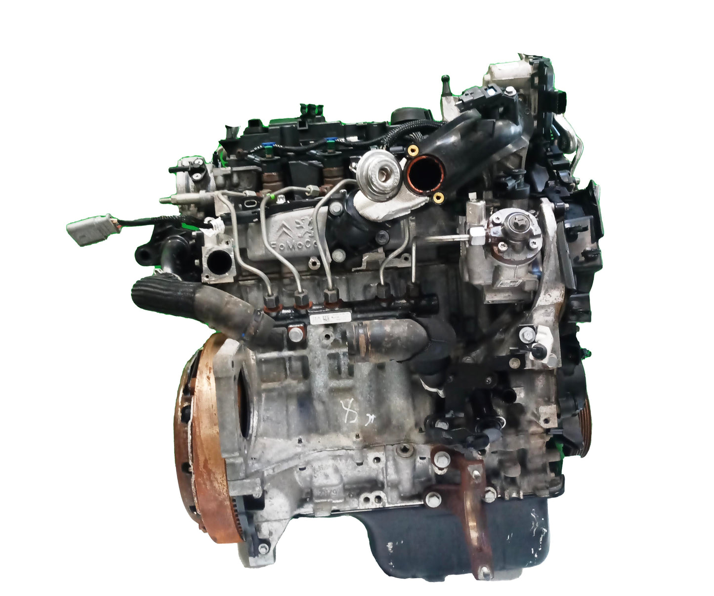 Moteur Für Ford 2016 TDCi XWDB GM5Q-6006-AA | ExpressParts