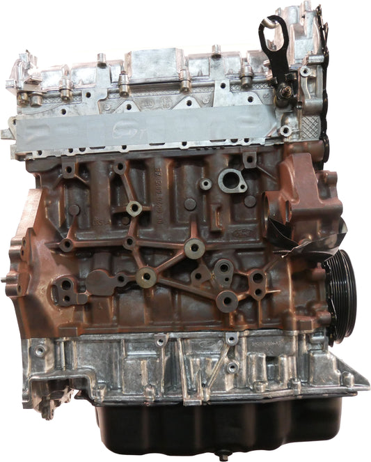 Moteur Révisé Ford Transit 2020 EcoBlue YMF6 Courroie de distribution Piston Palier NEUF | ExpressParts