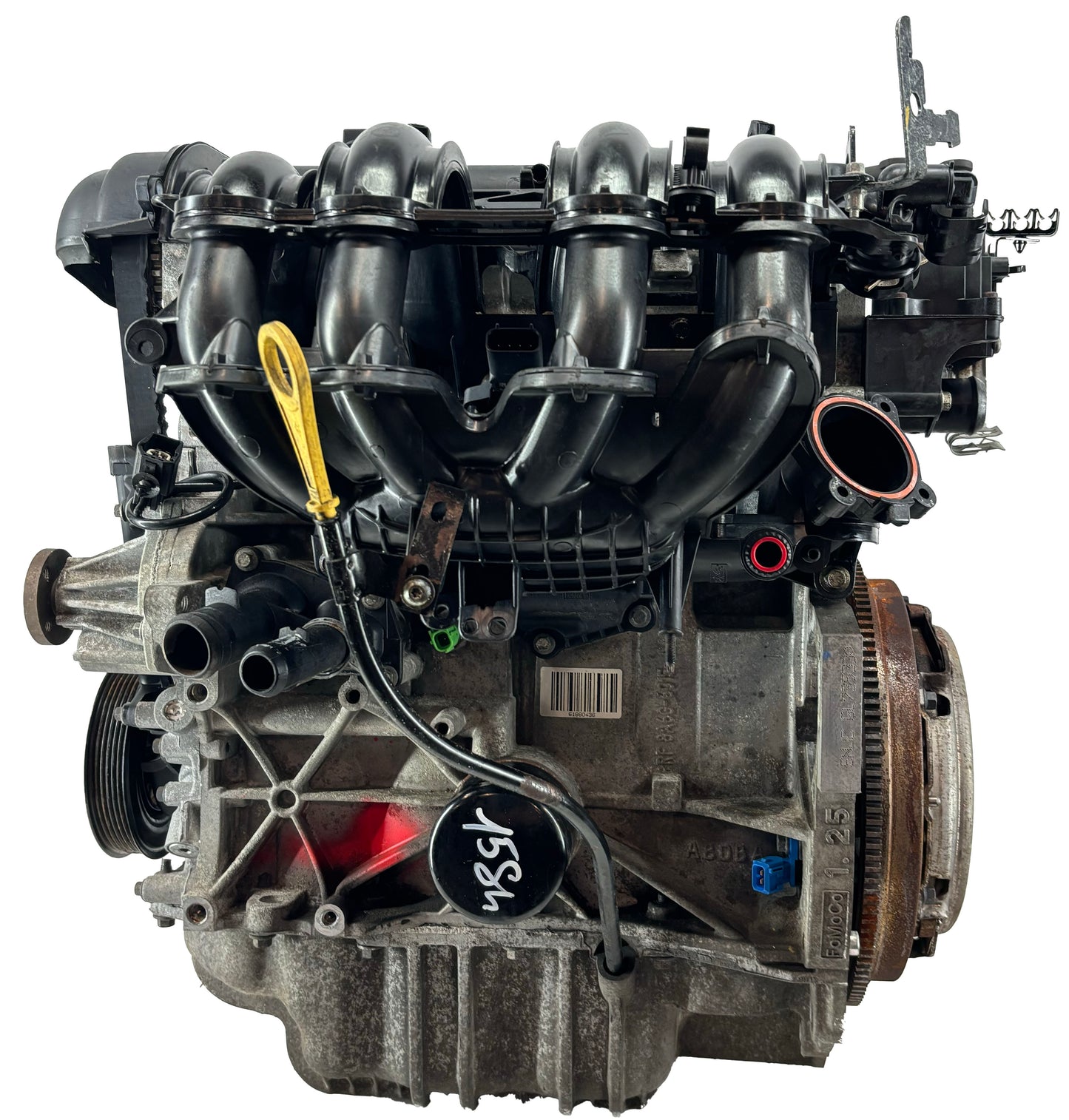 Moteur pour Ford 1,25 SNJC 8A6G-6006-à partir de 1713369 d'occasion - Moteur Auto Usagé