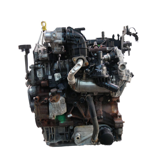 Moteur für Ford 2019 EcoBlue BKFB KK2Q-6006-EC | ExpressParts