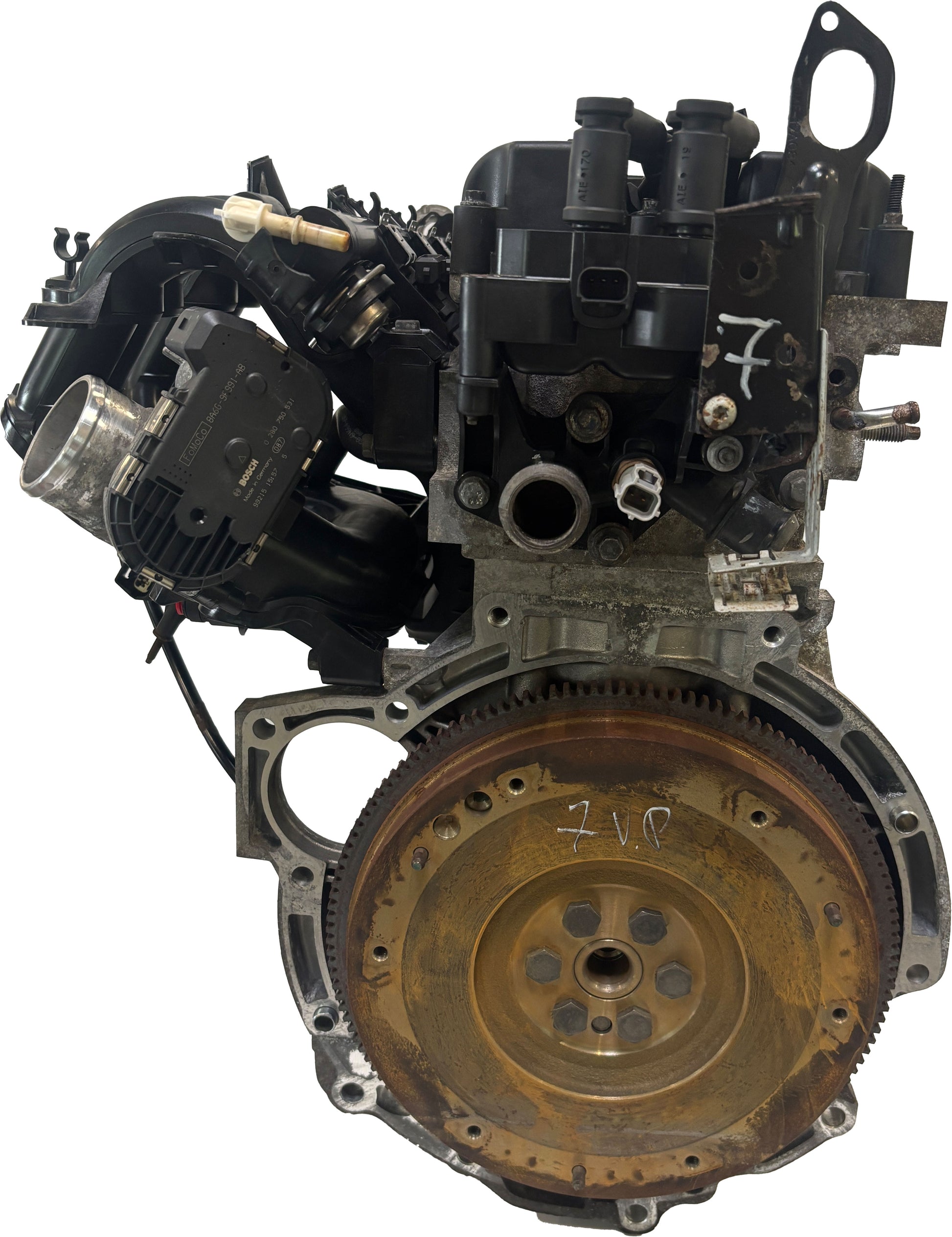 Moteur Pour Ford Fiesta VI 1,25 Essence STJB 8A6G-6006-à partir de d'occasion - Moteur Auto Usagé