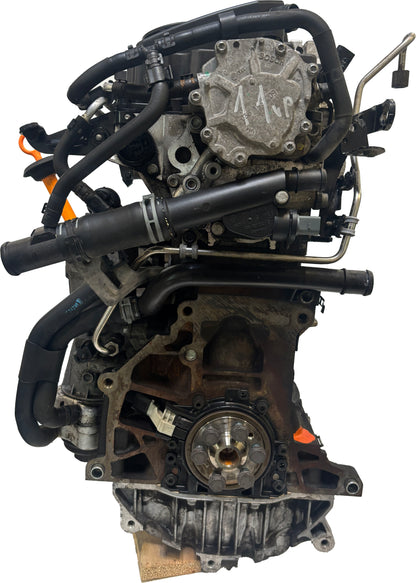 Moteur Pour Audi Seat Skoda VW A3 Leon Fabia Golf V 1,9 TDI BLS 03G100037F d'occasion - Moteur Auto Usagé