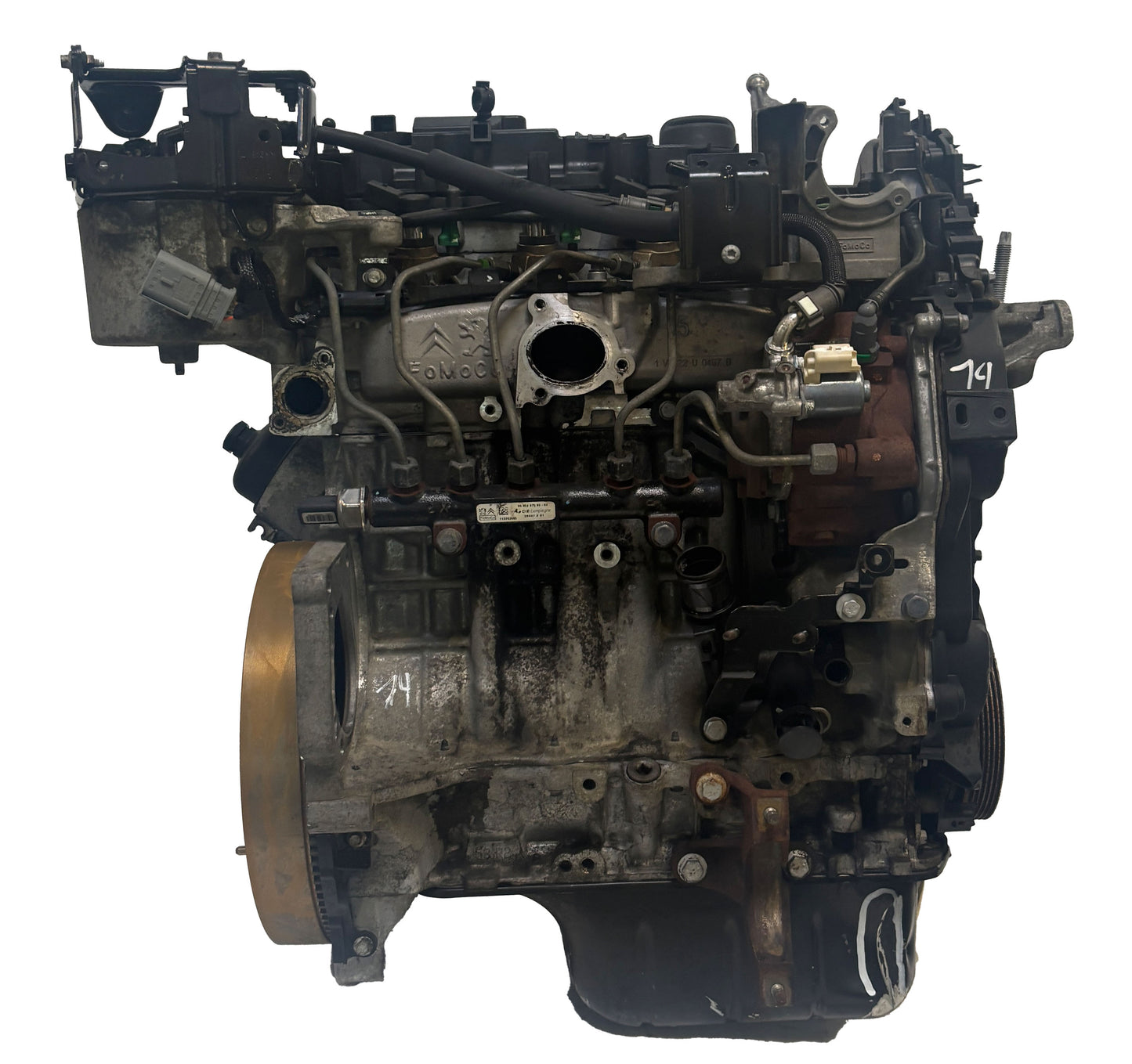 Moteur Ford C-Max Focus 1.6L – T1DB-C16DSOX/1733055-AV6Q-6006-BA – 2011 - Express Parts