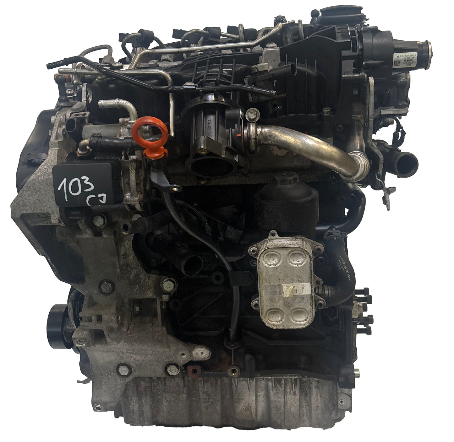 Moteur Audi Seat Skoda VW Golf 1.6L – CAYB-CAY/03L100032T-03L100090CX – 2009 - Express Parts