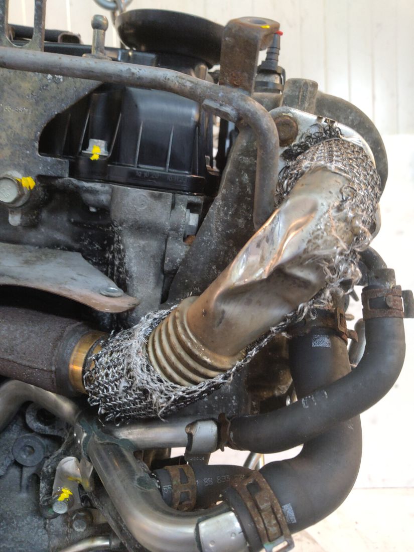 Vue moteur B16DTH-(LVL) Opel 1.6L – pièce occasion