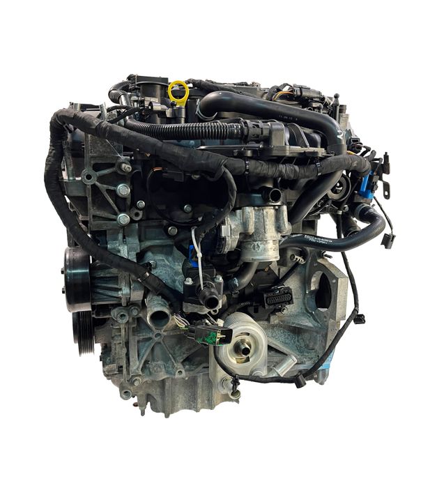 Bloc moteur Ford 1.6L JQGA-JQDA-JTJA-JQDB-JTJB – Express Parts
