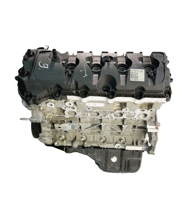 Bloc moteur Ford 5.0L MF8F – Express Parts