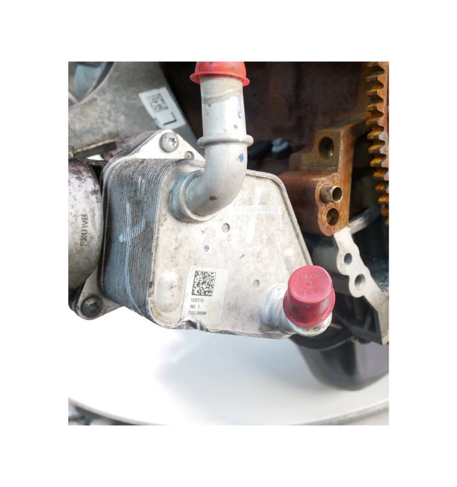 Moteur Ford Ranger TKE YN2X – Express Parts Belgique