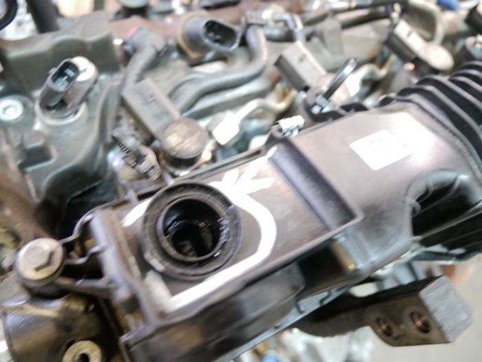 Moteur Ford Ranger TKE YN2X-T20DD0J – Express Parts Belgique