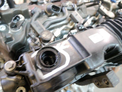 Moteur Ford Ranger TKE YN2X-T20DD0J – Express Parts Belgique