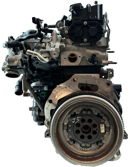 Moteur DFCA-DFC Skoda Superb Passat 248 000 km – vue détail