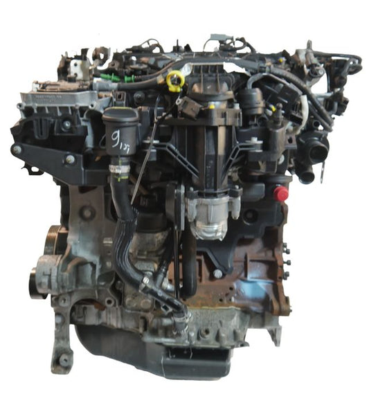 Moteur d'occasion Ford C-Max Focus 2.0L – UFDB