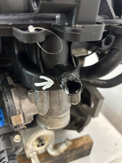 Moteur Ford Escape II DM2 16H0Z-JQDA-JQDB-JTMA – Express Parts Belgique