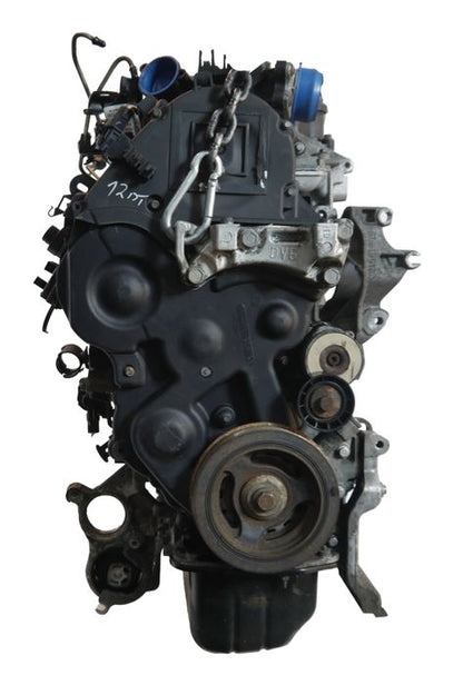 Bloc moteur Citroen 1.6L 9HX-9H03-DV6ATED4 – Express Parts