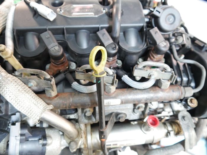 Moteur complet Land Rover Discovery L320 2.7L d'occasion