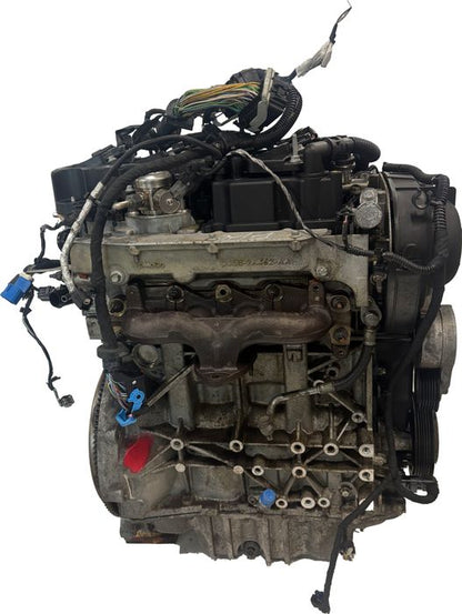 Bloc moteur Ford 1.6L T16HDTX-JQDA-JTDA – Express Parts