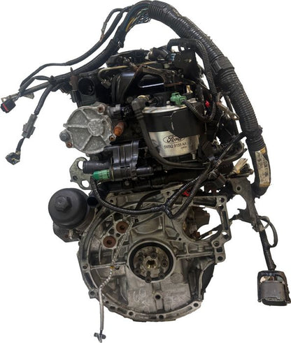 Moteur d'occasion Mazda 1.6L Y646 – état général