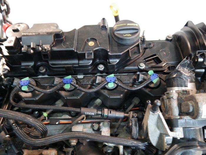 Moteur Ford C-Max Focus XWDB-C15DSOX – Express Parts Belgique
