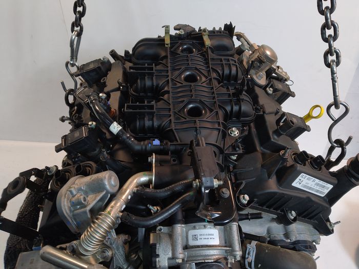 Moteur Ford F150 T35PDTD-T35 – Express Parts Belgique