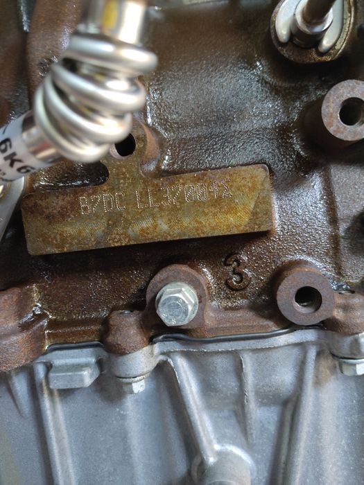 Moteur Ford Focus B7DC – Express Parts Belgique