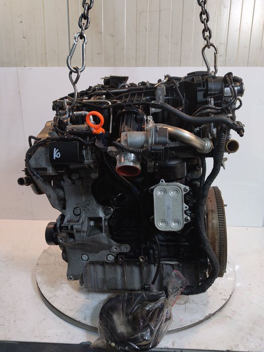Moteur d'occasion VW Passat 1.6L – CAYC-CAY