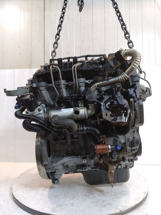 Moteur G8DD Ford Focus 216 000 km – vue détail