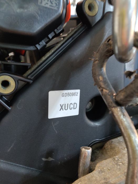 Moteur Ford Transit XUCD – Express Parts Belgique